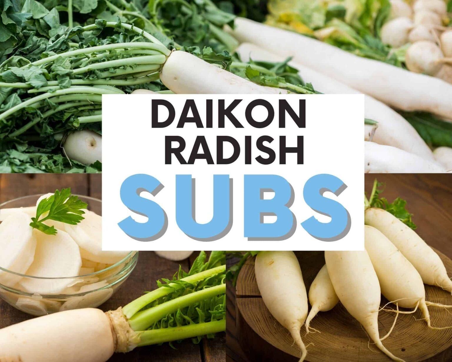 The BEST Daikon Radish Substitutes The Olive Branch Nest