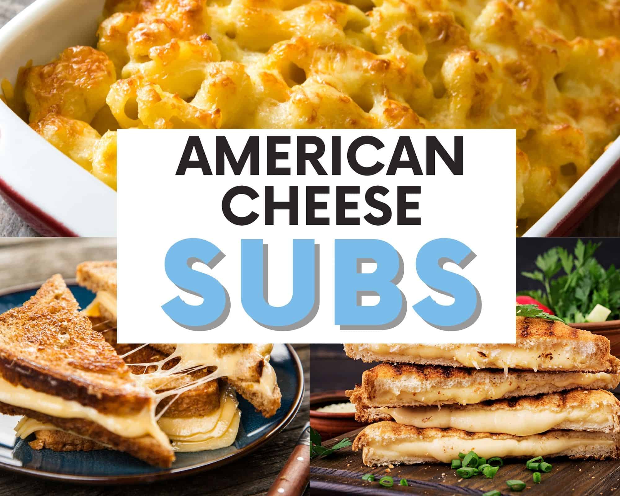 The BEST American Cheese Substitutes To Use | The Olive Branch Nest