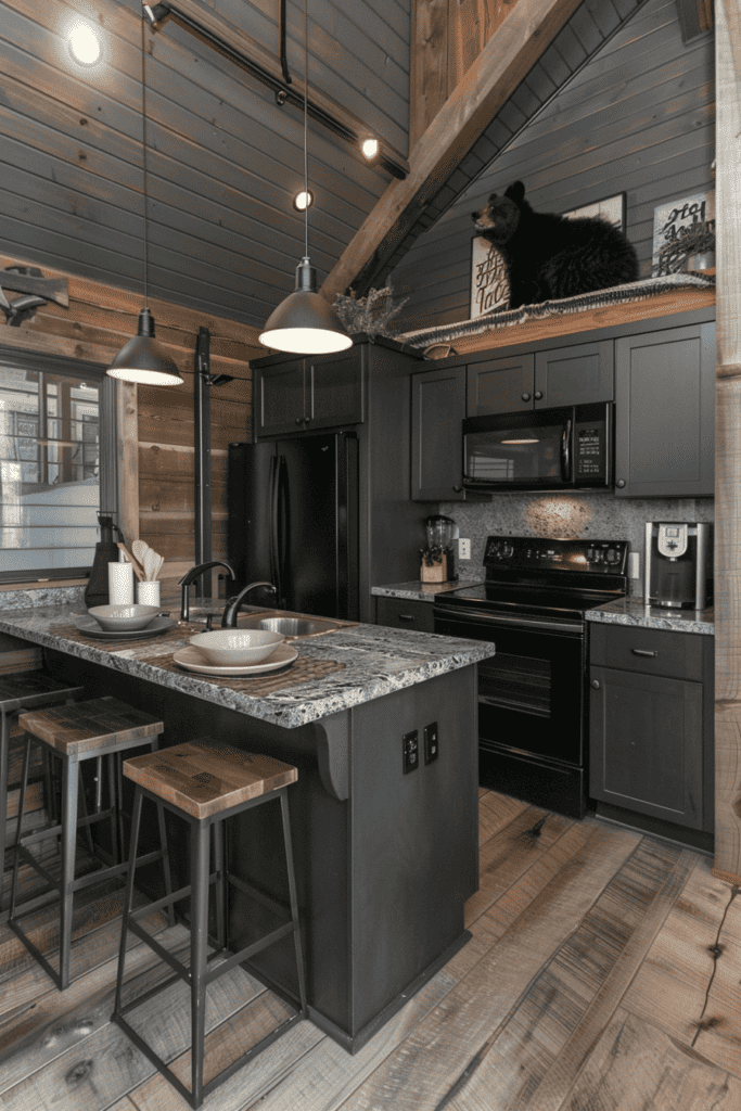 modern cabin kitchen 