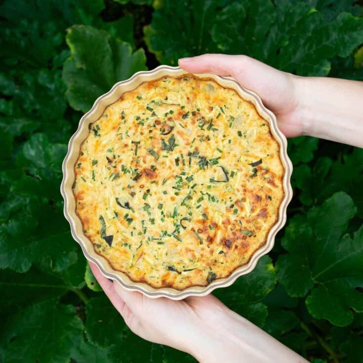 Delicious homemade vegetable quiche with herbs on ceramic dish outdoors.