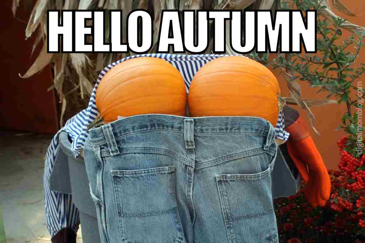 50 Hilarious Fall Memes To Warm Your Soul. | The Olive Branch Nest