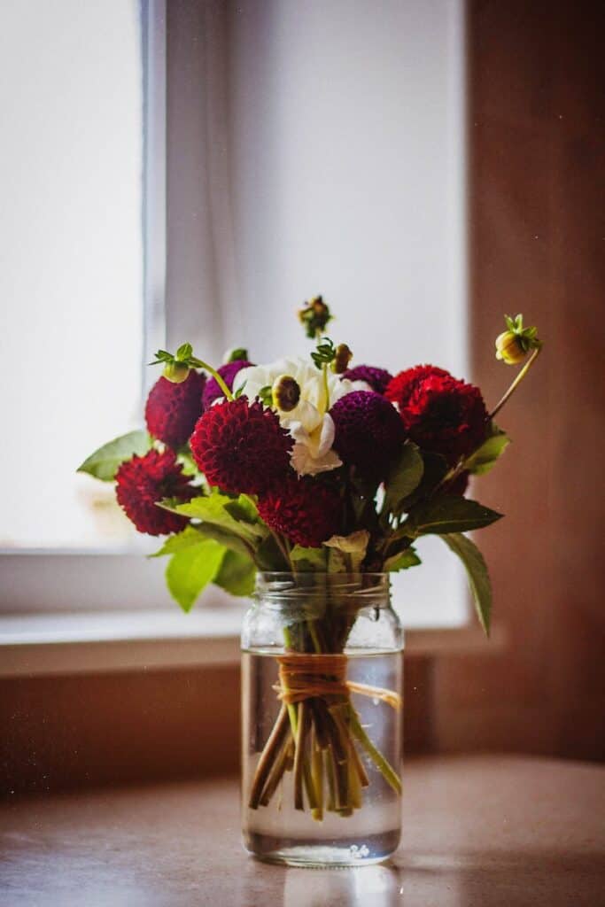 Charming red and white flowers arranged in a glass jar by a window, capturing a cozy indoor vibe.