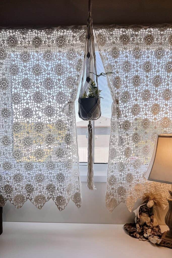 Delicate white lace curtains with a floral pattern framing a window with a hanging plant.