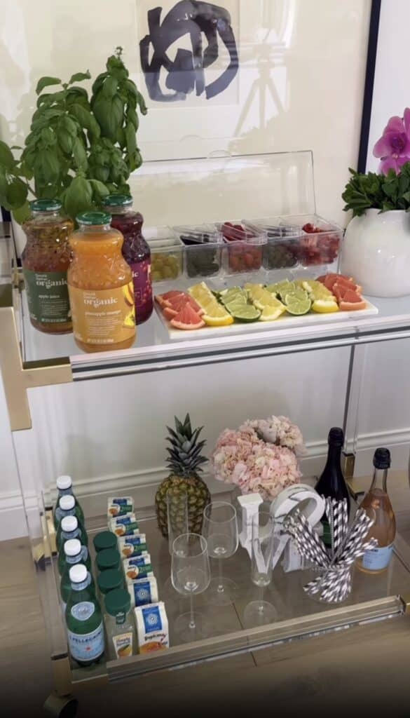 Free mocktail station featuring fresh fruits, herbs, and colorful drinks for a stylish bar cart setu.