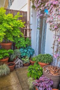 Lush small balcony garden featuring various potted plants and planter boxes for a cozy outdoor space.