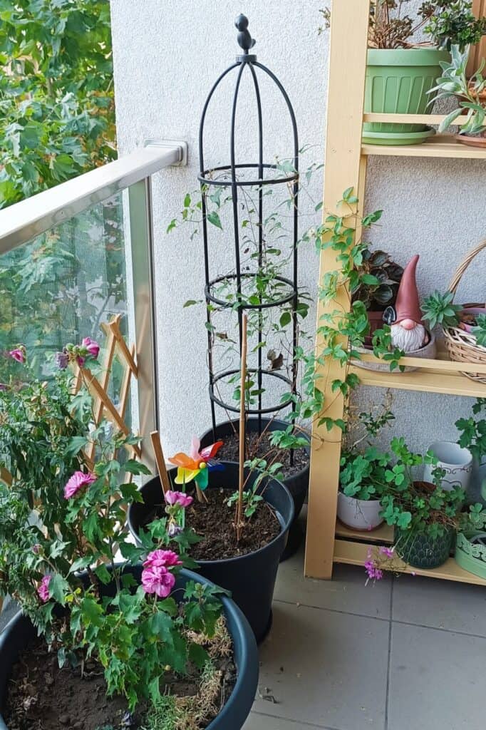 Versatile metal plant stand for small balcony garden planter box ideas.