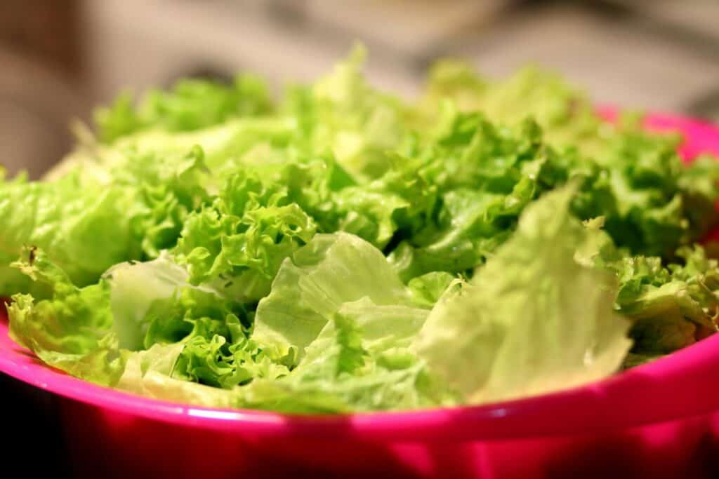 Close-up of crisp green lettuce in a pink bowl, perfect for filling high-protein salads.