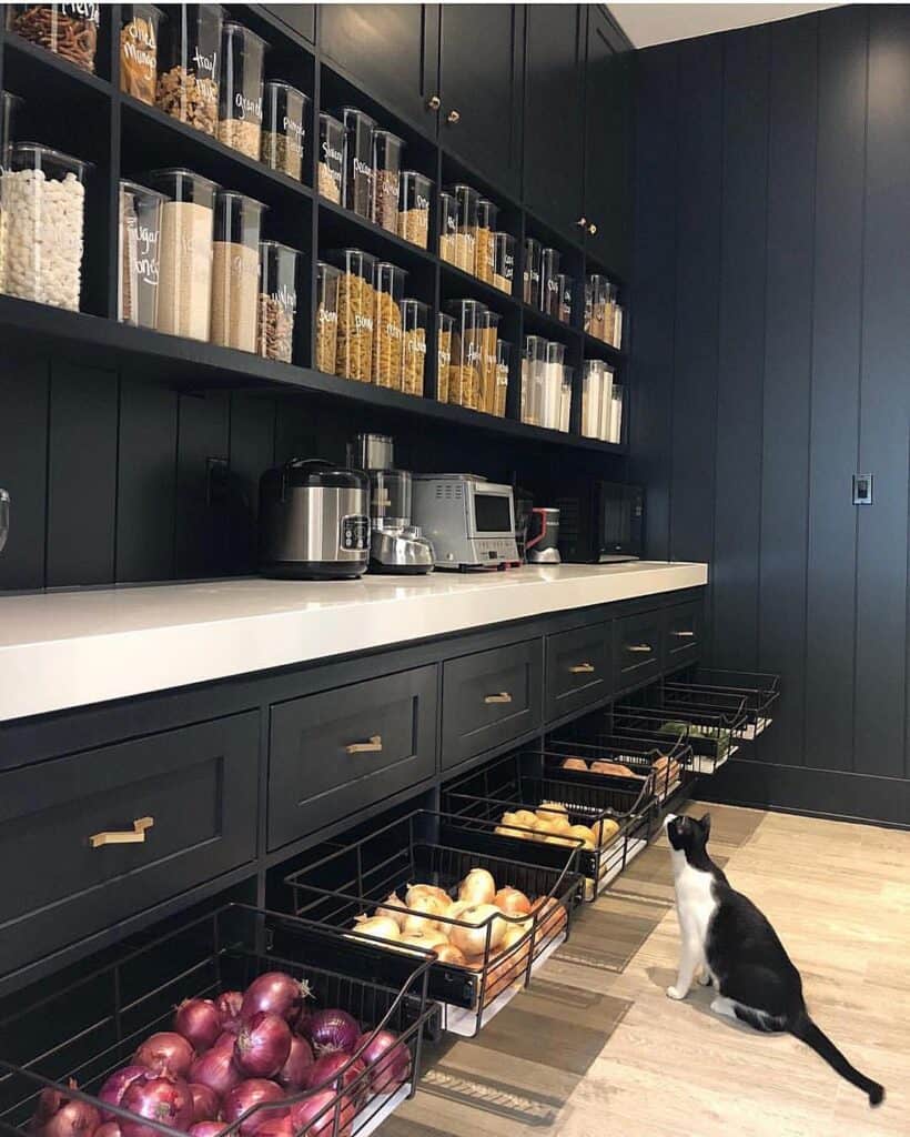 Contemporary black kitchen with open shelves, pantry jars, and a cat sitting on the floor.