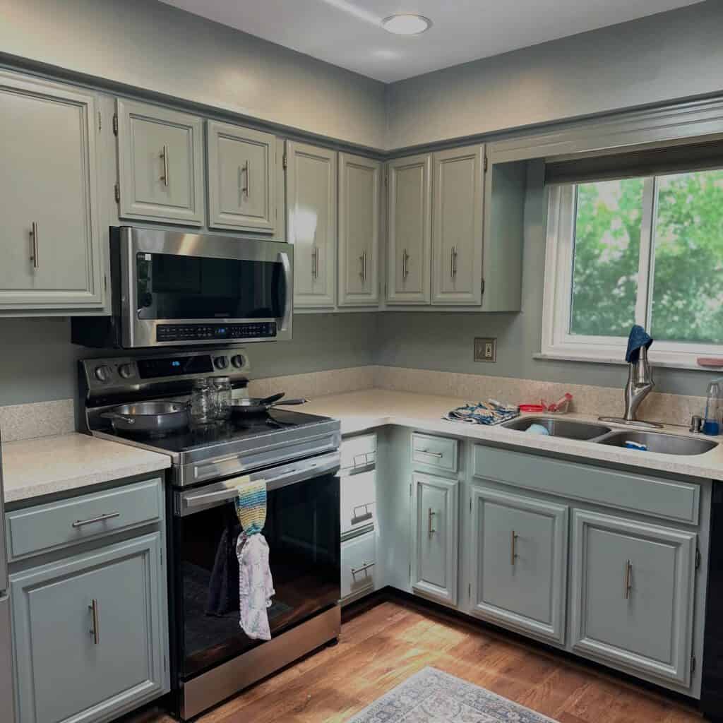 Light blue kitchen cabinets with stainless steel appliances and window view.