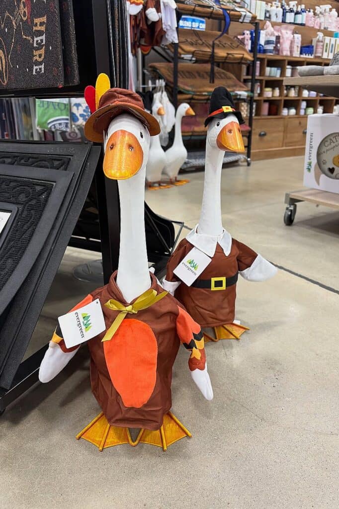 Decorative fall goose figures dressed in pilgrim costumes for porch decor.