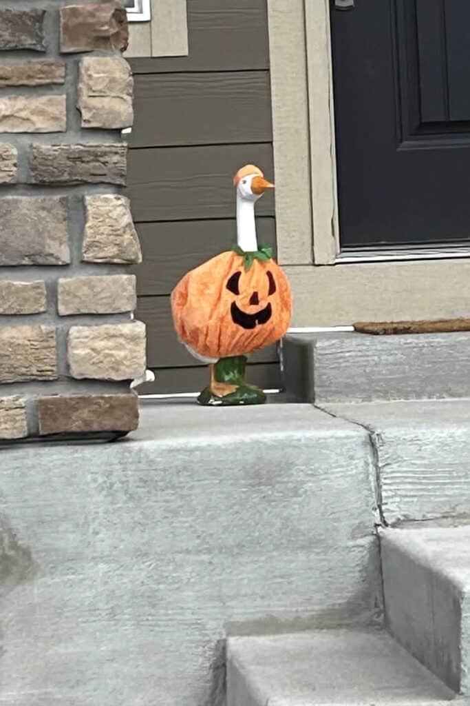 Decorative goose with pumpkin costume on front porch for fall celebration.