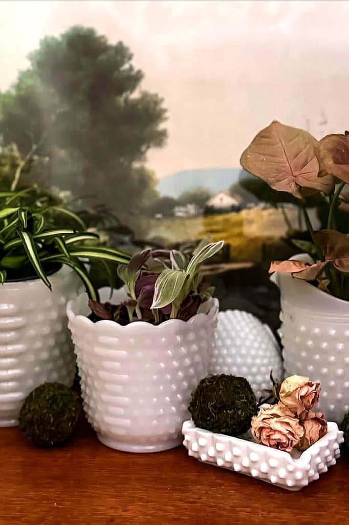 Decorative milk glass planters with lush green and pink plants on a wooden surface.